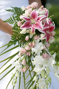 Florida Weddings